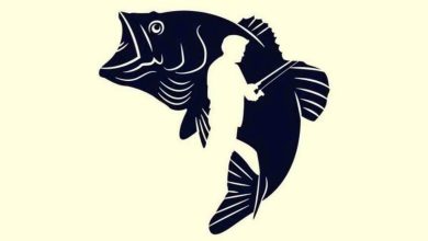 تست شخصیت آدم پرتحرک یا آرام 1