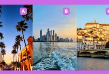 تست شخصیت اهل همکاری یا مقابله 1