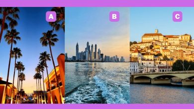 تست شخصیت اهل همکاری یا مقابله 1