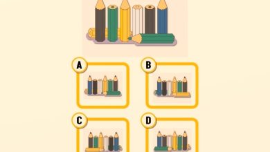 تست هوش تصویر پشت مدادهای رنگی 1