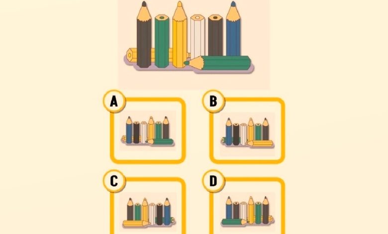 تست هوش تصویر پشت مدادهای رنگی 1