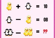 تست هوش ریاضی ارزش اردک پنگوئنی 1