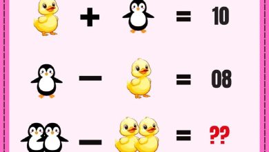 تست هوش ریاضی ارزش اردک پنگوئنی 1