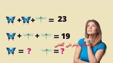تست هوش ریاضی ارزش پروانه و سنجاقک 1