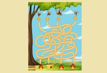 تست هوش یافتن مسیر درست زنبورها 1