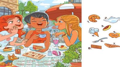 تست هوش یافتن ۸ شیء پنهان 1