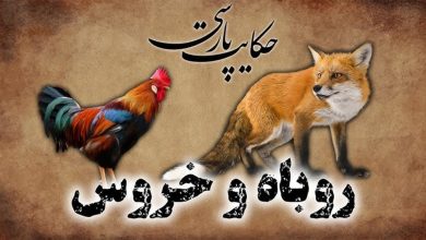 داستان روباه و خروس زرنگ