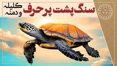 داستان سنگ پشت پرحرف