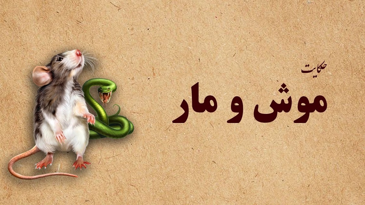 داستان موش و مار 4