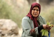 دلایل ازدواج نکردن مهرانه مهین ترابی