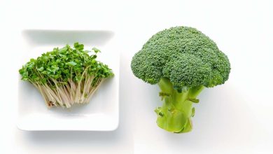 فواید اصلی جوانه کلم بروکلی