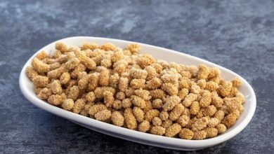 فواید اصلی مصرف توت خشک