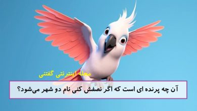 چیستان نصف پرنده و نام دو شهر 1