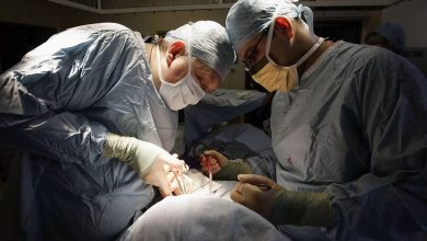 کلیه‌ آلوده به هاری جان گیرنده پیوند را گرفت