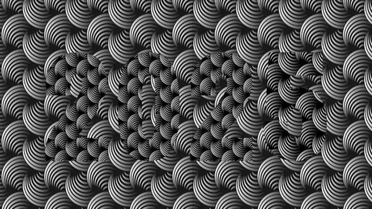 تست بینایی یافتن عدد پنهان در تصویر