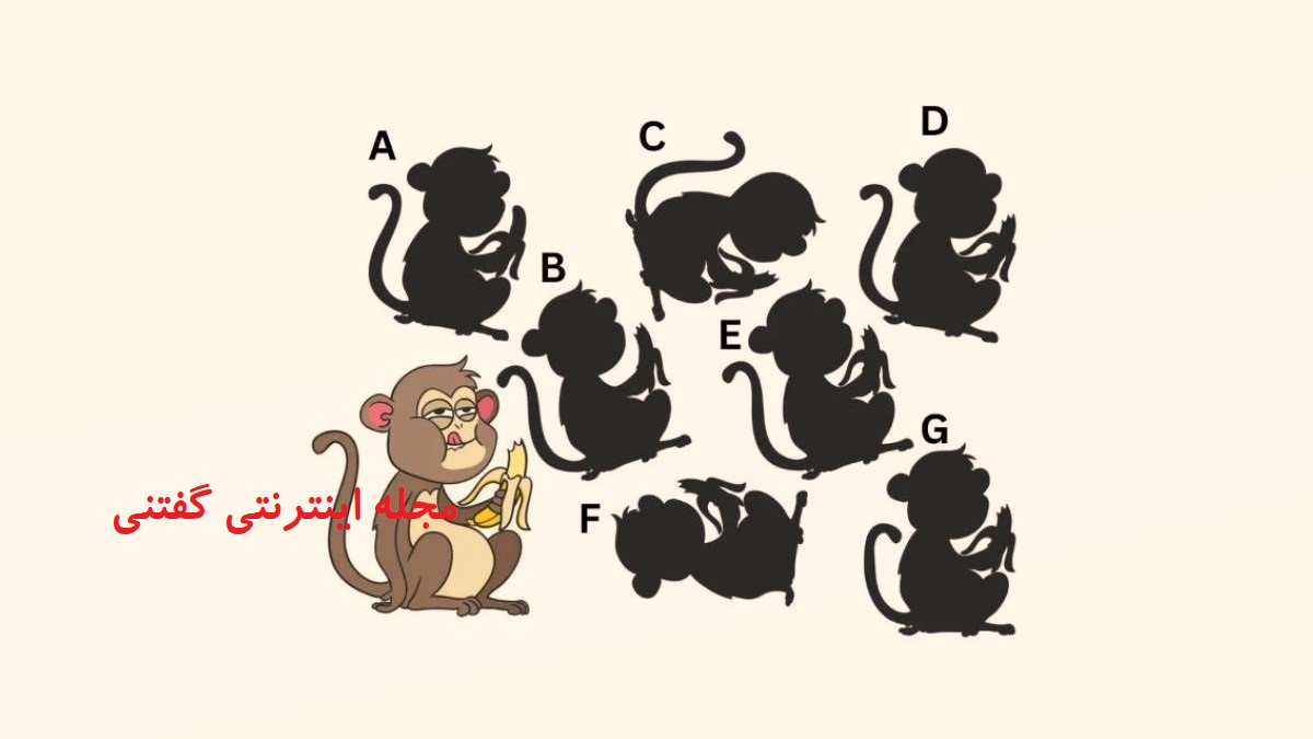 تست هوش یافتن سایه درست میمون