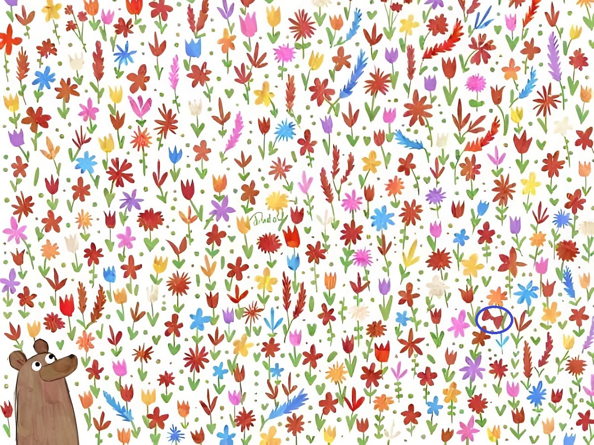 پاسخ تست بینایی پاپیون مخفی میان گل ها