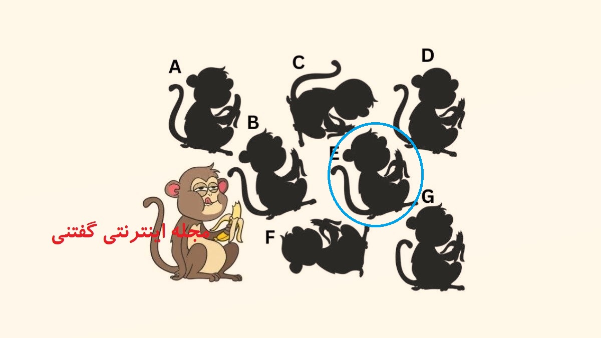 پاسخ تست هوش یافتن سایه درست میمون