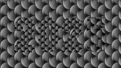 تست بینایی یافتن عدد پنهان در تصویر 1