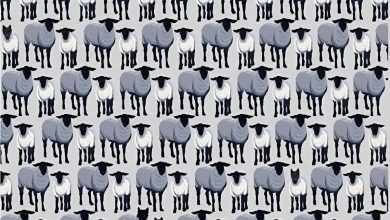 تست بینایی یافتن گرگ های پنهان میان گوسفندان 1