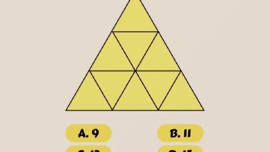 تست هوش تعداد مثلث های موجود 1