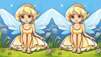 تفاوت تصویری پری نشسته بر روی زمین 1