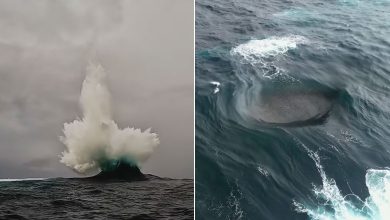 نمای شگفت‌انگیز از چهار موج در یک نقطه