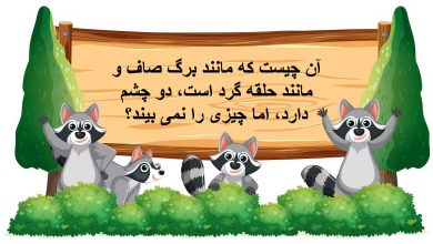 چیستان صاف و گرد و دارای دو چشم 1