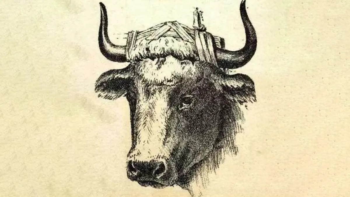 تست بینایی یافتن چوپان در تصویر گاومیش