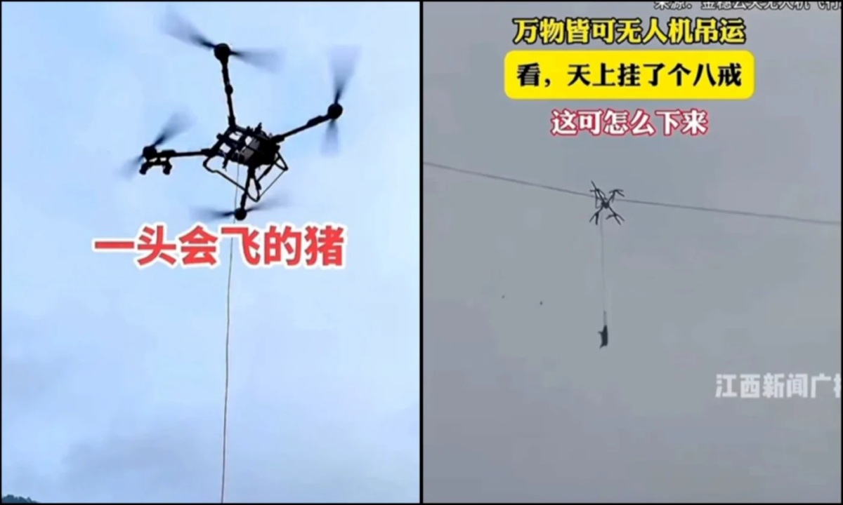 خوک پرنده، کل یک روستا را بیبرق کرد-1