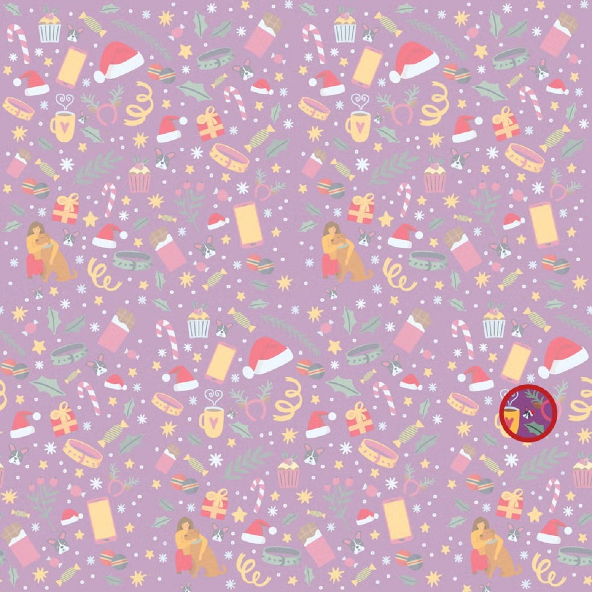 پاسخ تست بینایی توله سگ دارای کلاه کریسمس