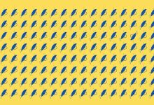 تست بینایی یافتن دو پر متفاوت 1