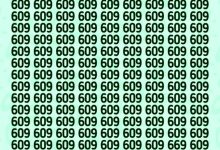 تست بینایی یافتن عدد ۶۶۹-1