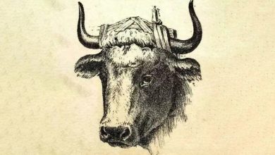 تست بینایی یافتن چوپان در تصویر گاومیش 1