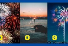 تست شخصیت اهل کار تیمی یا انفرادی 1