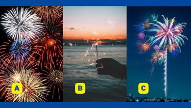 تست شخصیت اهل کار تیمی یا انفرادی 1