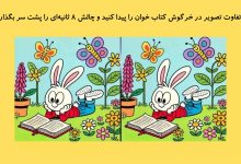 تفاوت تصویری خرگوش کتاب خوان 1