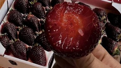 توت فرنگی مروارید سیاه