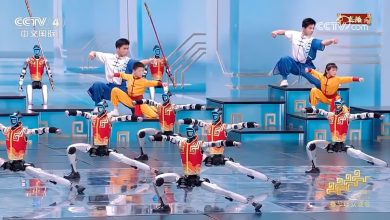 نمایش خیره کننده کونگ فو توسط رباتها