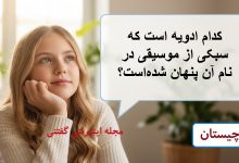 چیستان ادویه و سبکی موسیقی 1